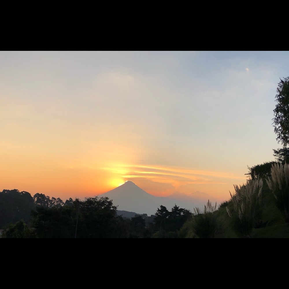 Meet your Posher, Rodrigo